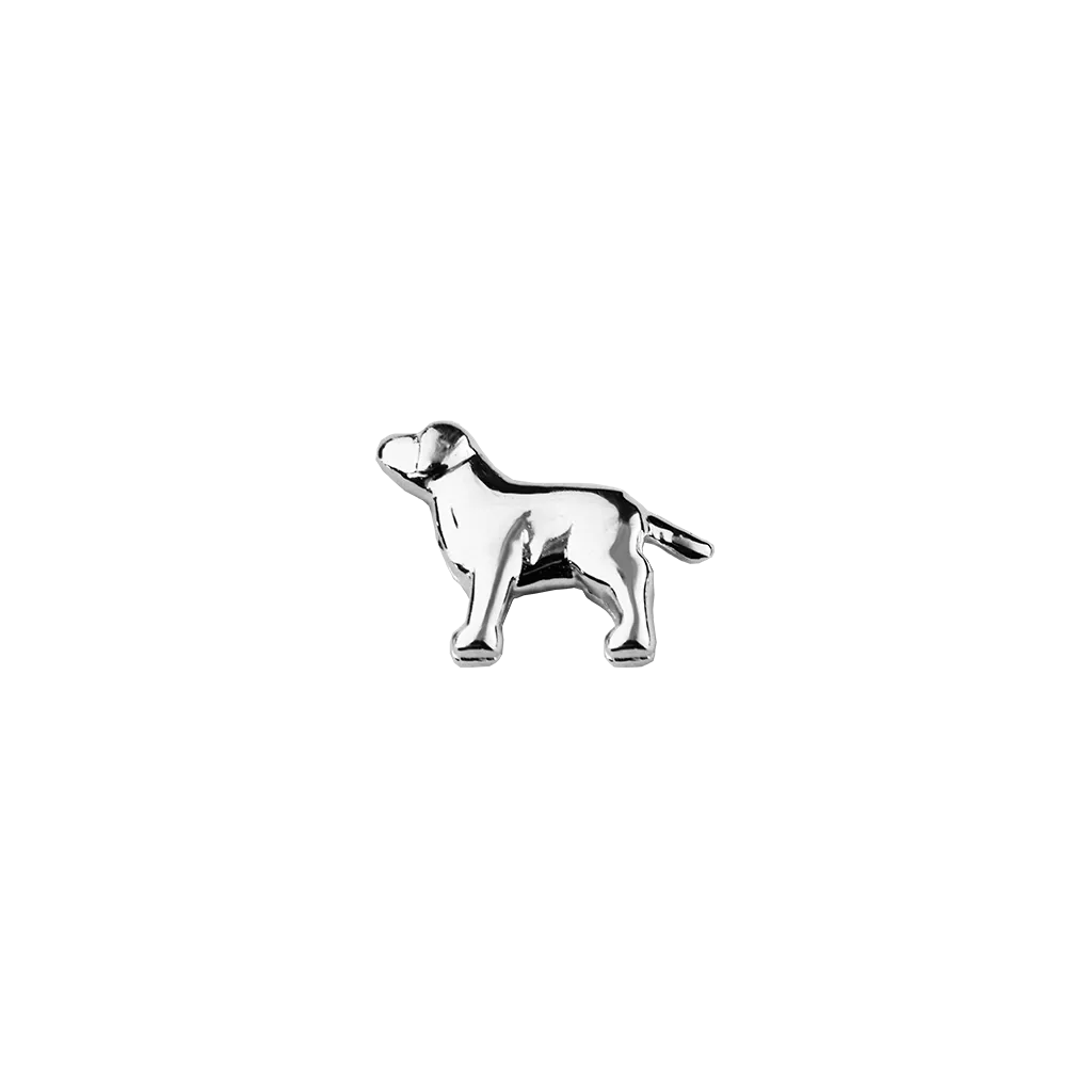Dog - Trusted