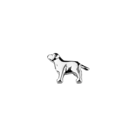 Dog - Trusted