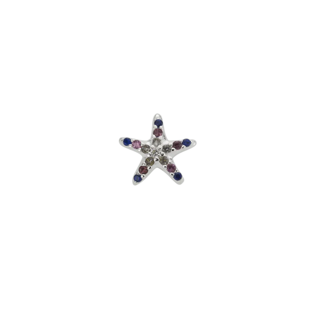 Indigo Starfish - Treasured