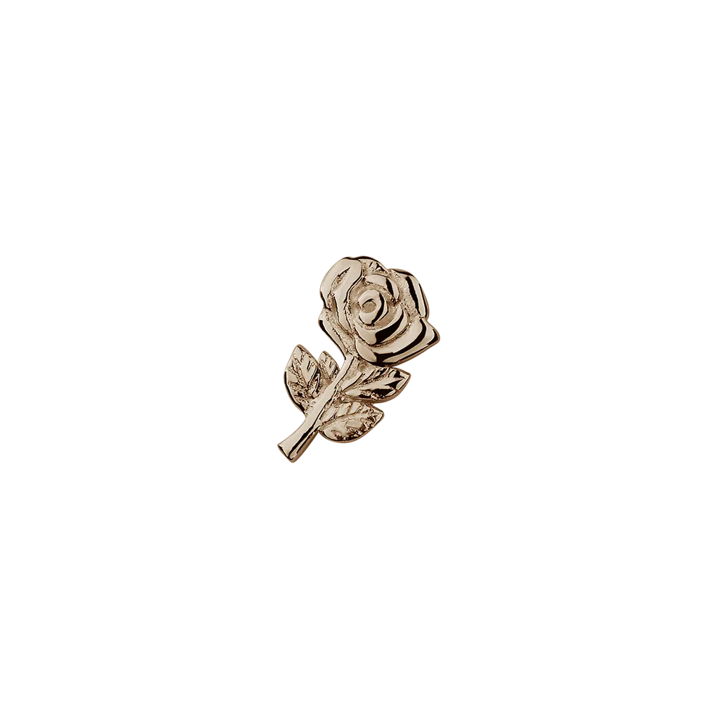 Rose Gold Rose - Enchanting