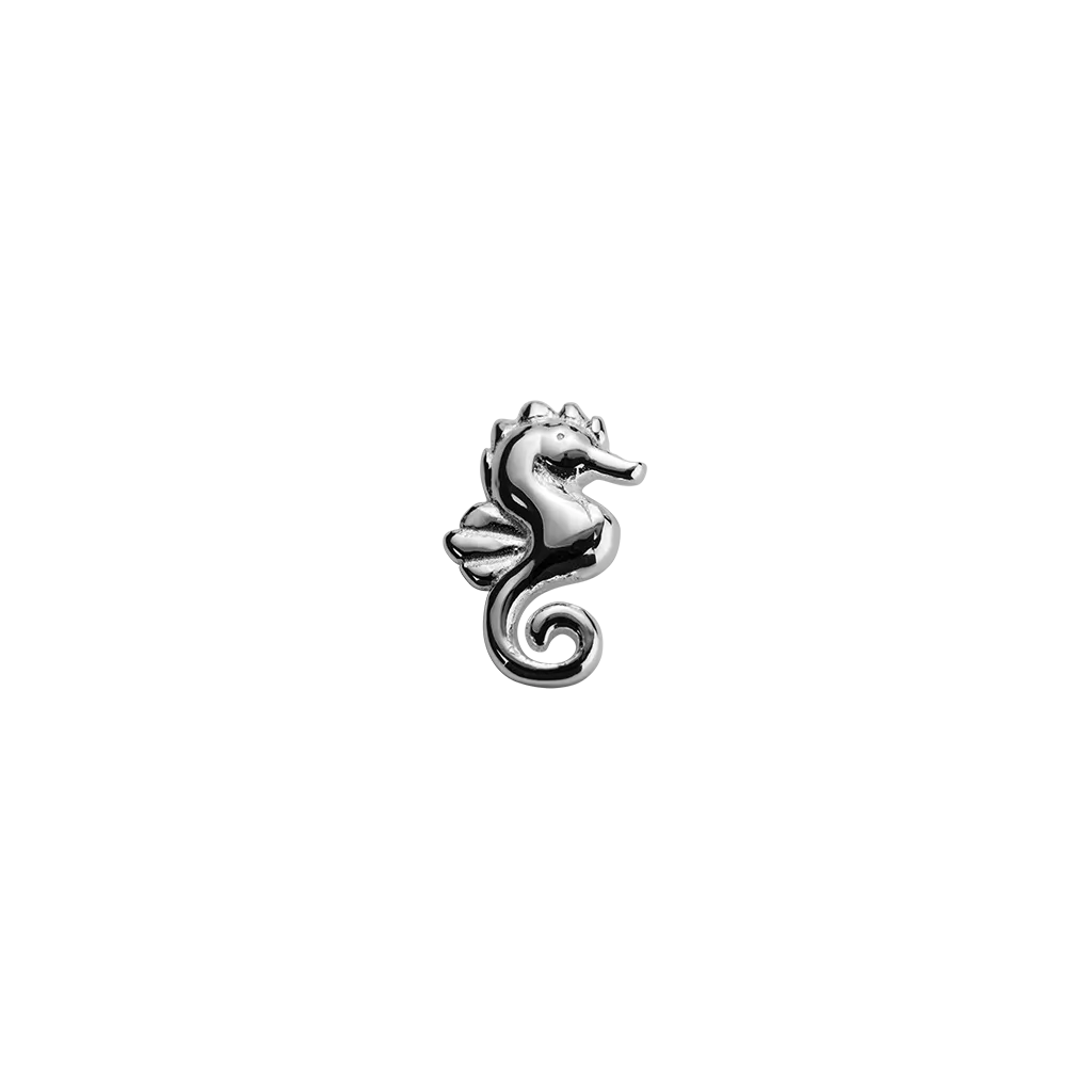 Seahorse - Enchanted
