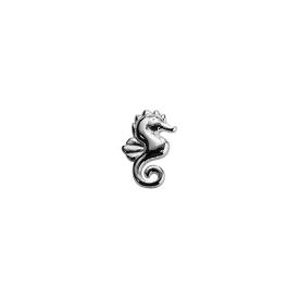 Seahorse - Enchanted